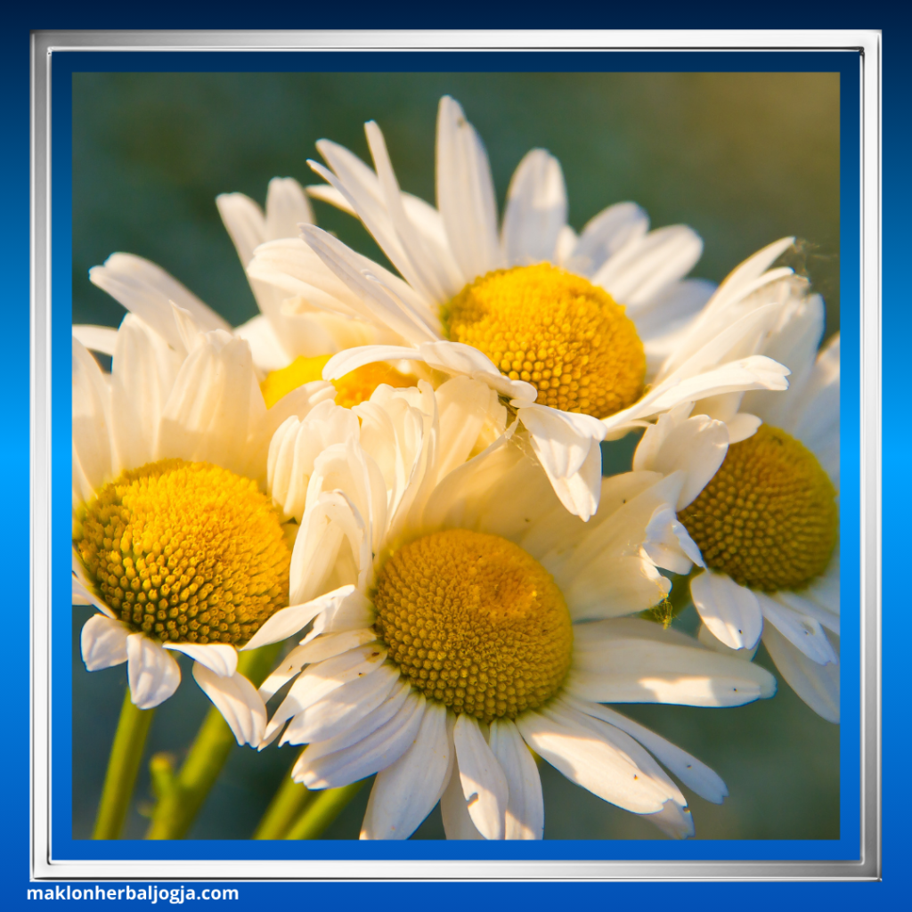 Cara Mengatasi Rabun Jauh