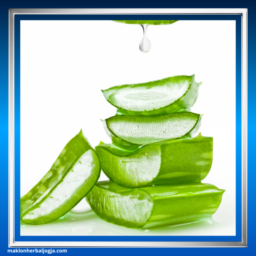 Cara Alami Mengatasi Bab Berdarah