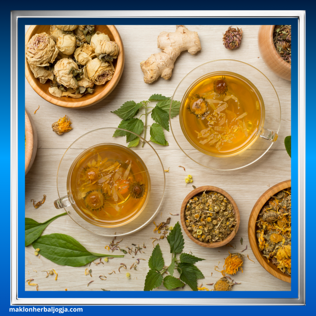 Herbal Menurunkan Berat Badan