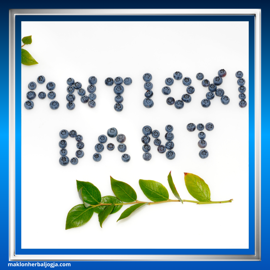 Herbal dengan Kandungan Antioksidan