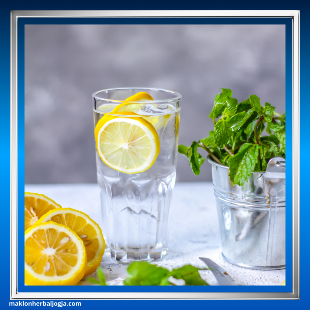 Herbal Menurunkan Berat Badan