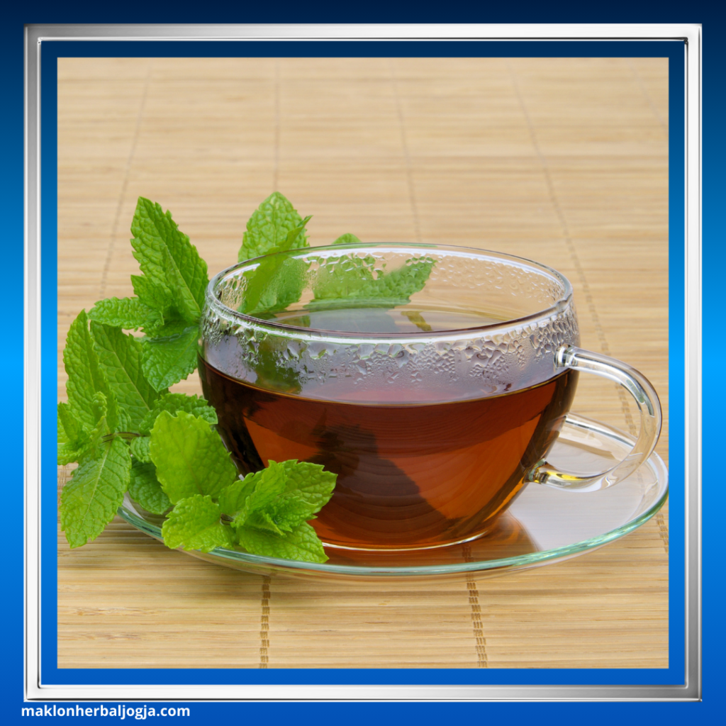 Herbal Menurunkan Berat Badan