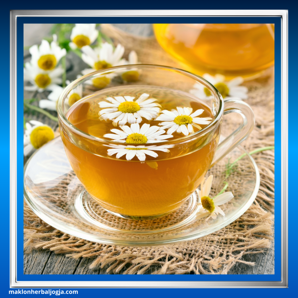 Herbal Menurunkan Berat Badan