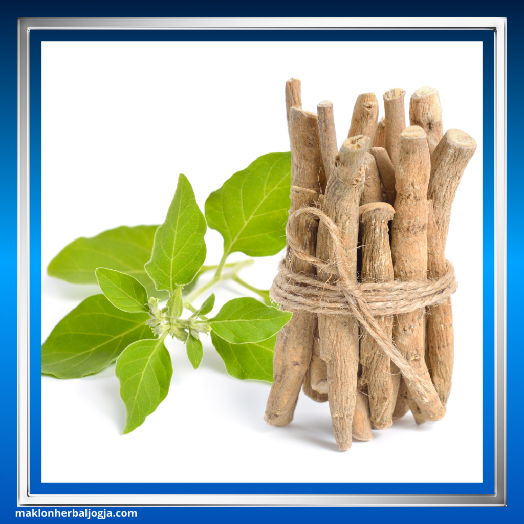 Cara Mengatasi Ejakulasi Dini