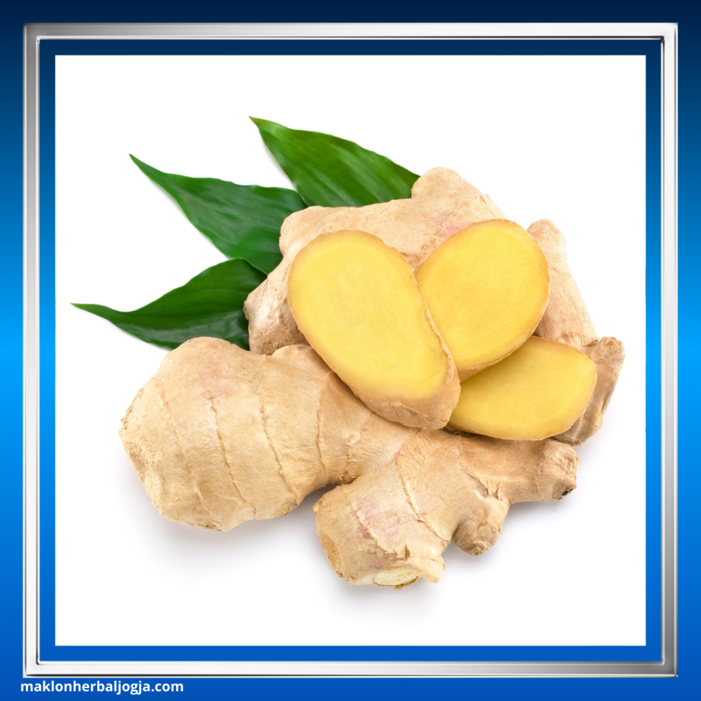 Herbal dengan Kandungan Antioksidan