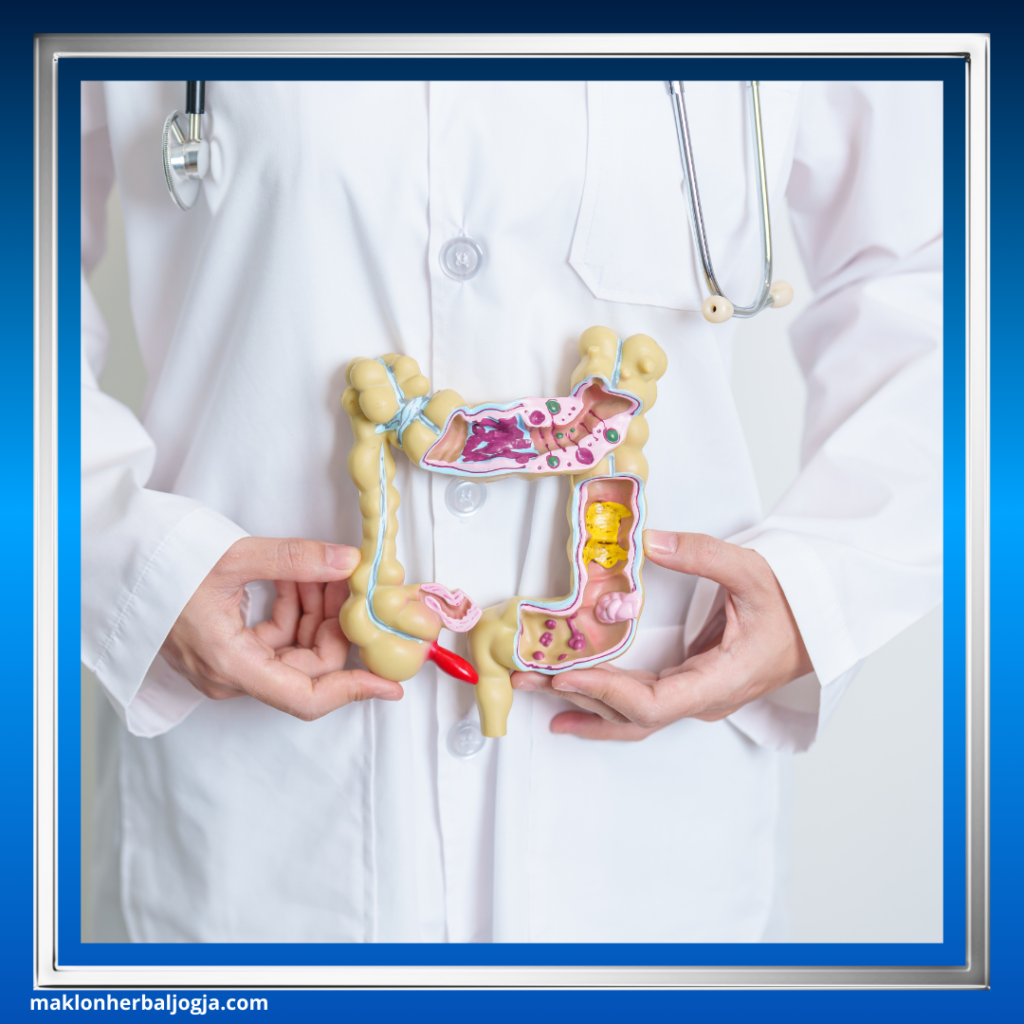 Cara Ampuh Membersihkan Usus