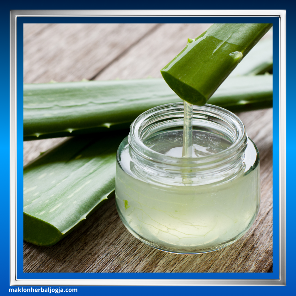 Cara Ampuh Membersihkan Usus