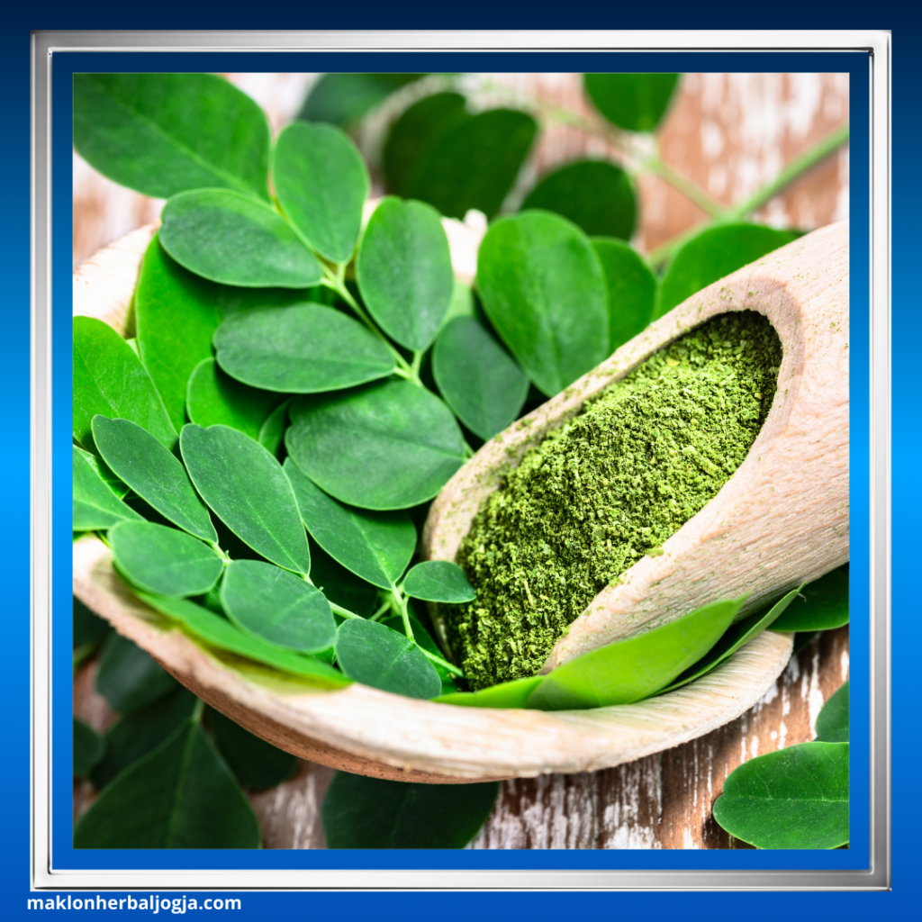 Herbal dengan Kandungan Antioksidan