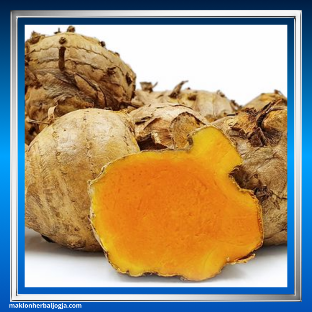 Cara Mengobati Gondok dengan Herbal