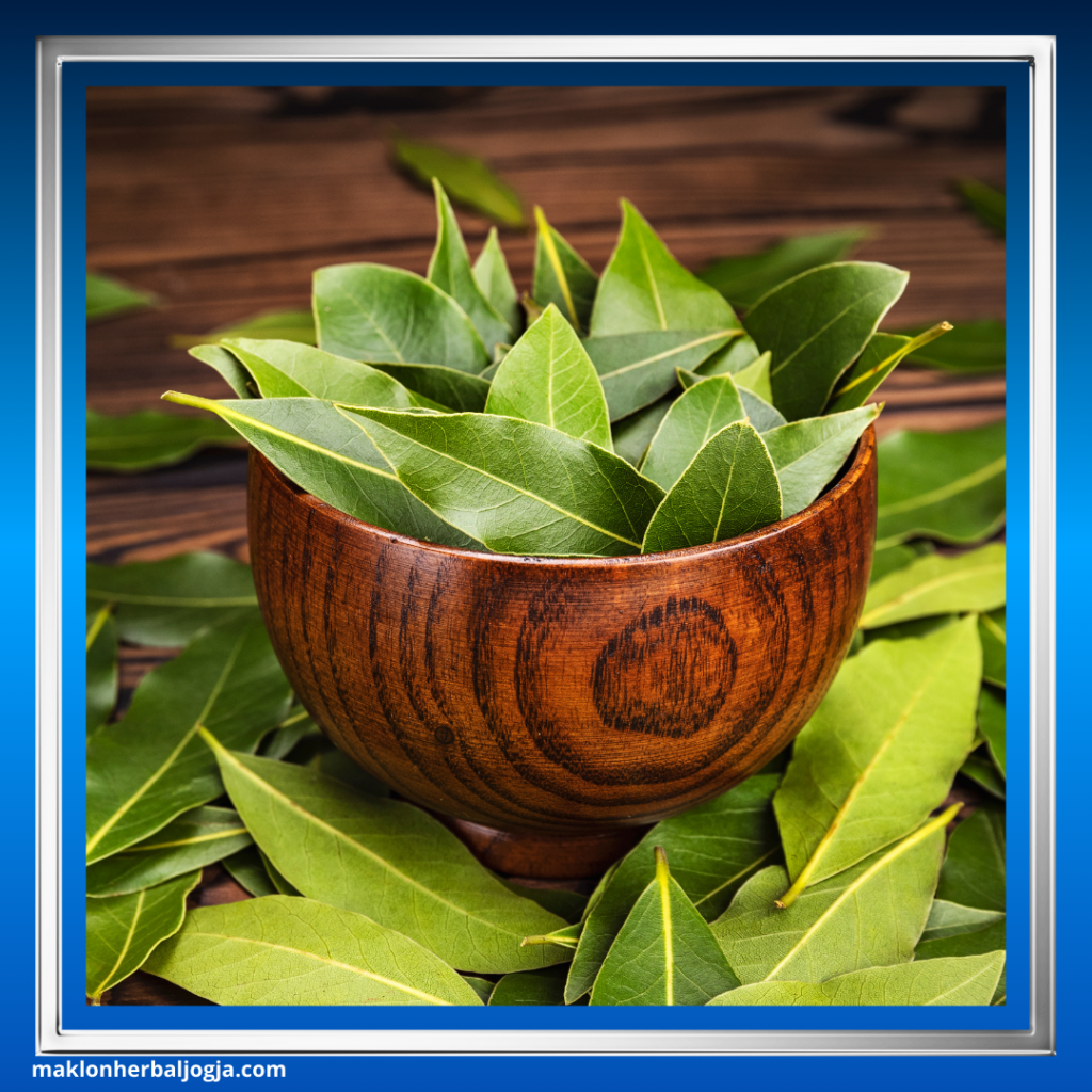 Herbal Menghentikan Diare Anak