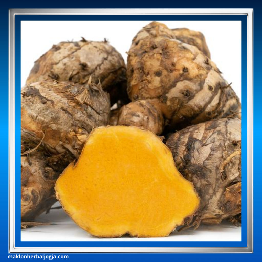 Herbal Membantu Melancarkan Haid