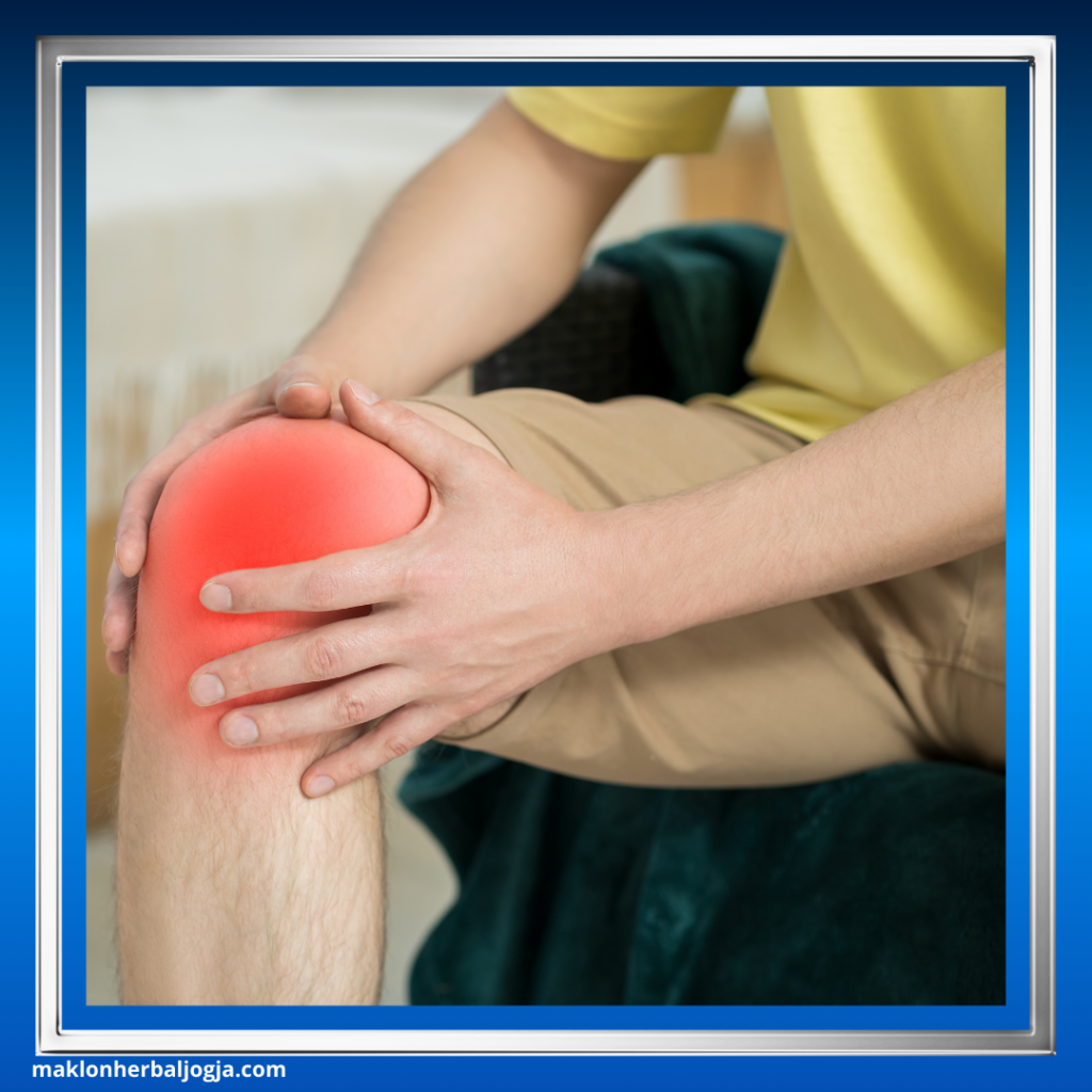 Teh Herbal Anti Inflamasi