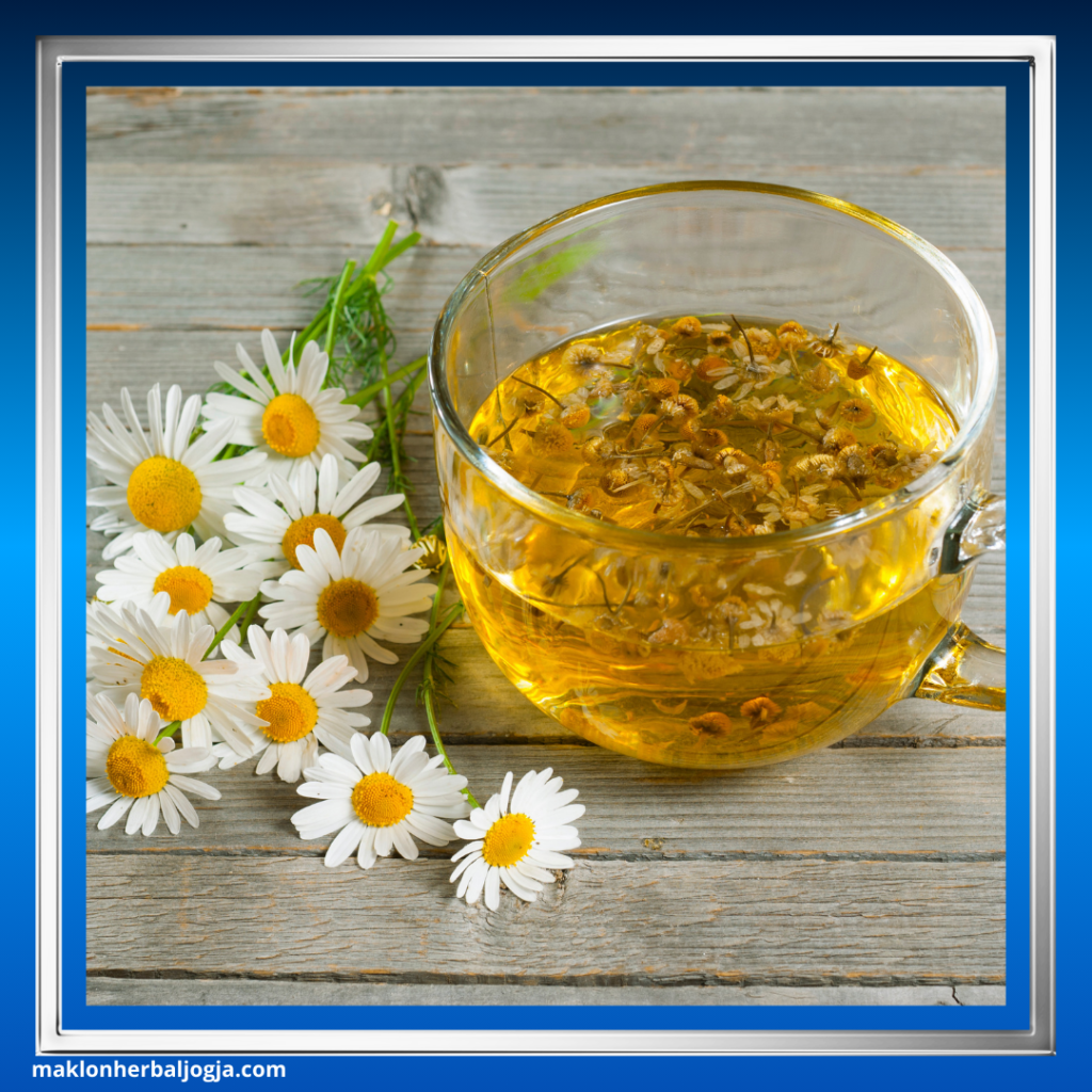 Teh Herbal Anti Inflamasi