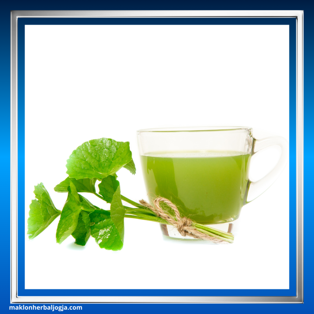 Herbal untuk Meredakan Demam