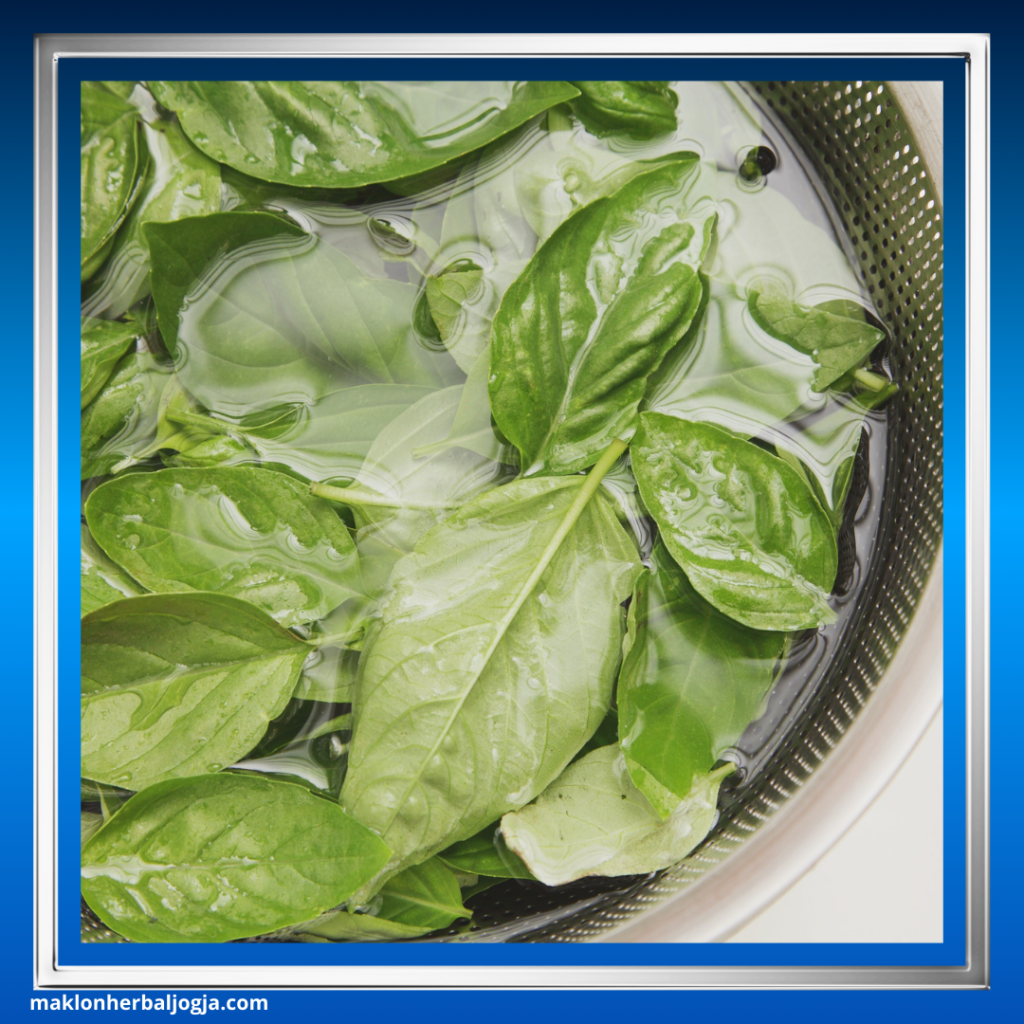 Herbal untuk Meredakan Demam