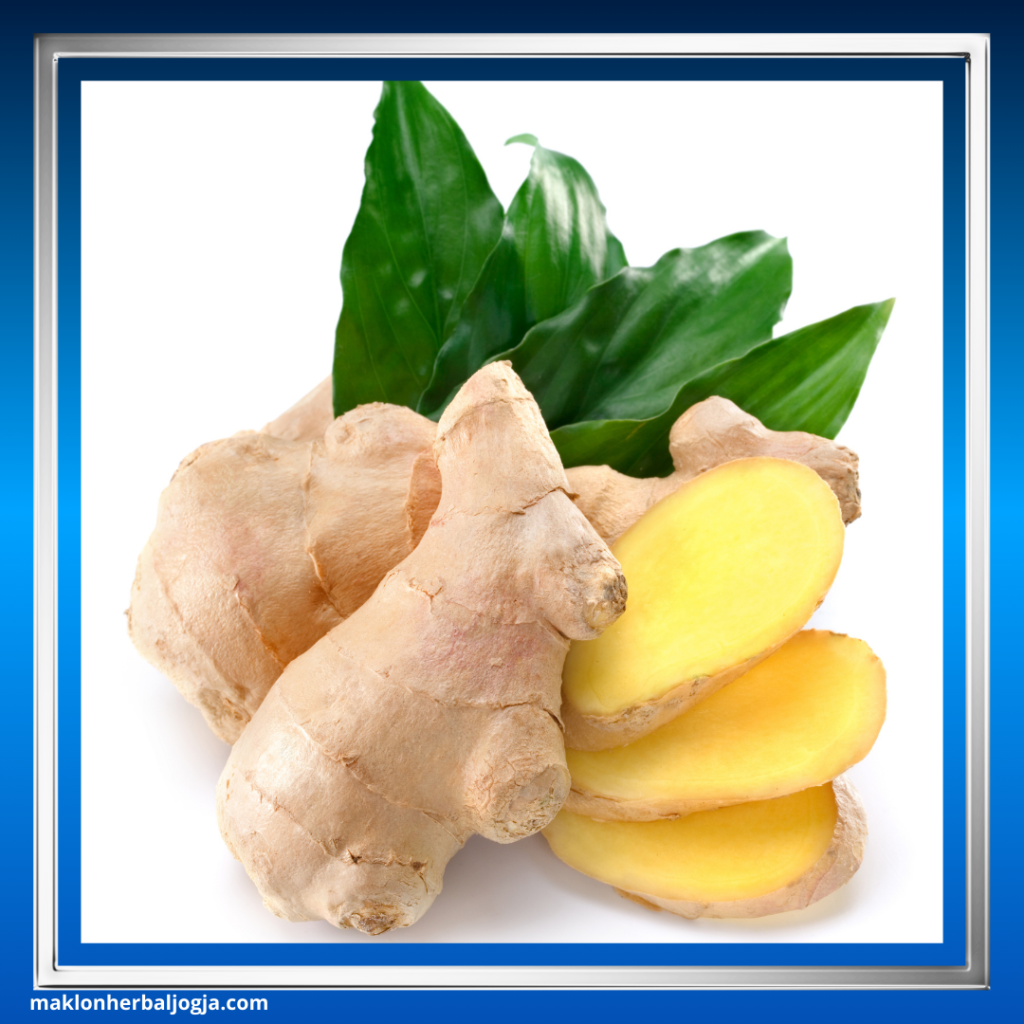 Mengatasi Sakit Kepala dengan Herbal