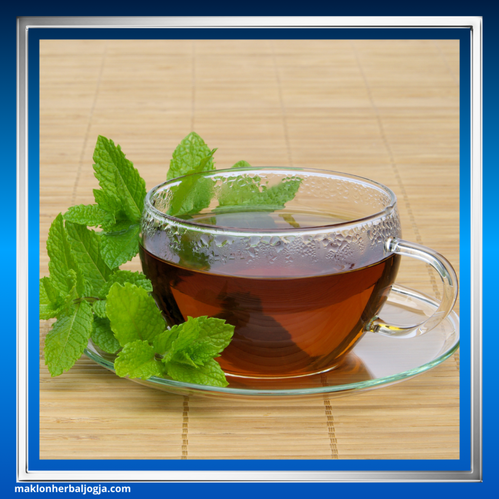 Mengatasi Sakit Kepala dengan Herbal