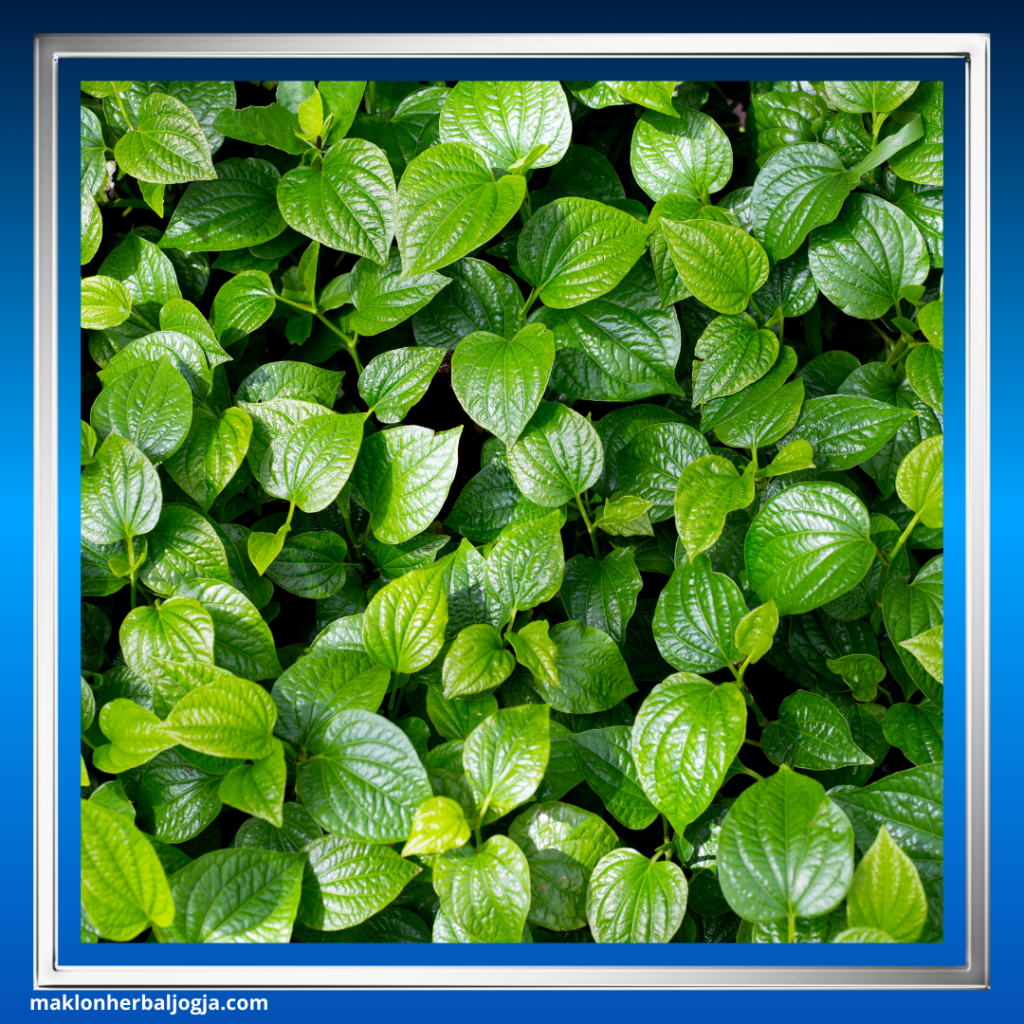 Cara Mengatasi Rabun Jauh