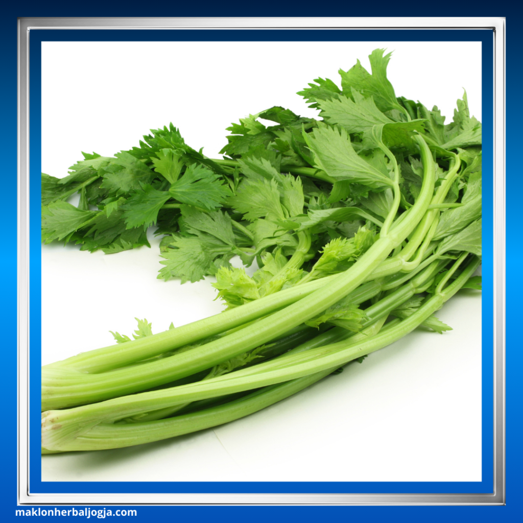 Herbal Mengatasi Jantung Bengkak