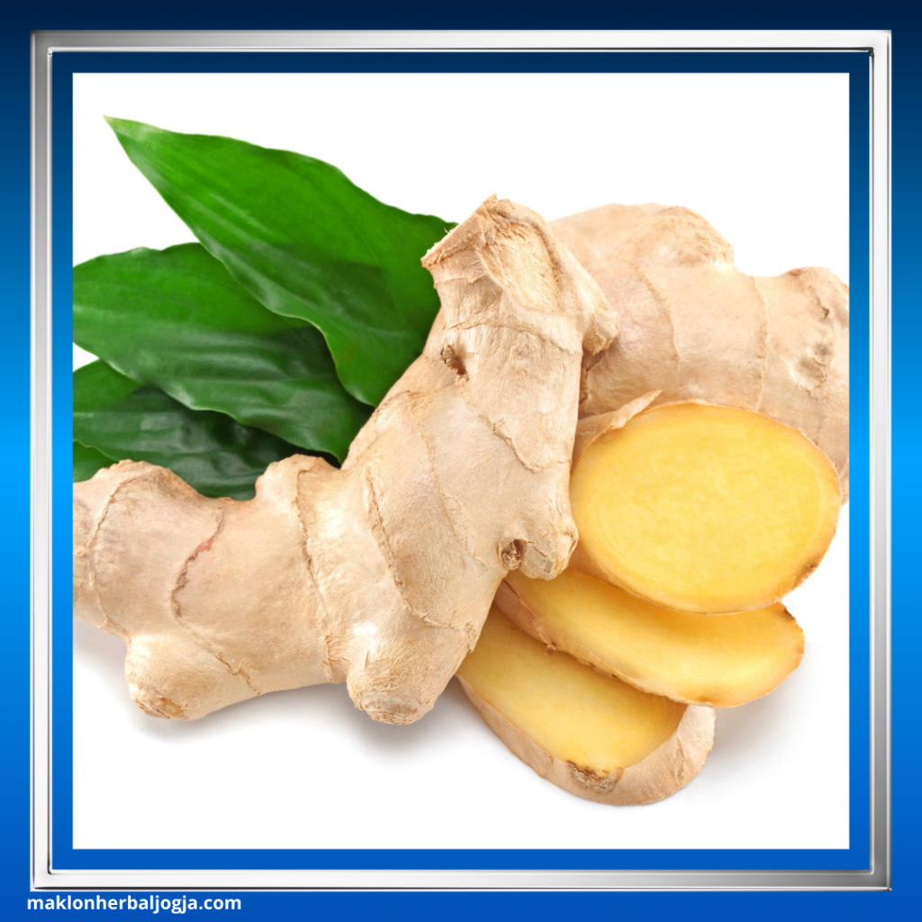 Herbal Mengatasi Infeksi Usus 