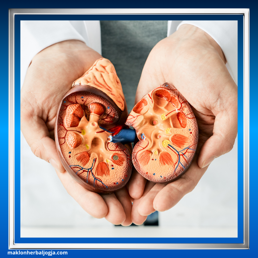 Ciri Penyakit Ginjal Akut