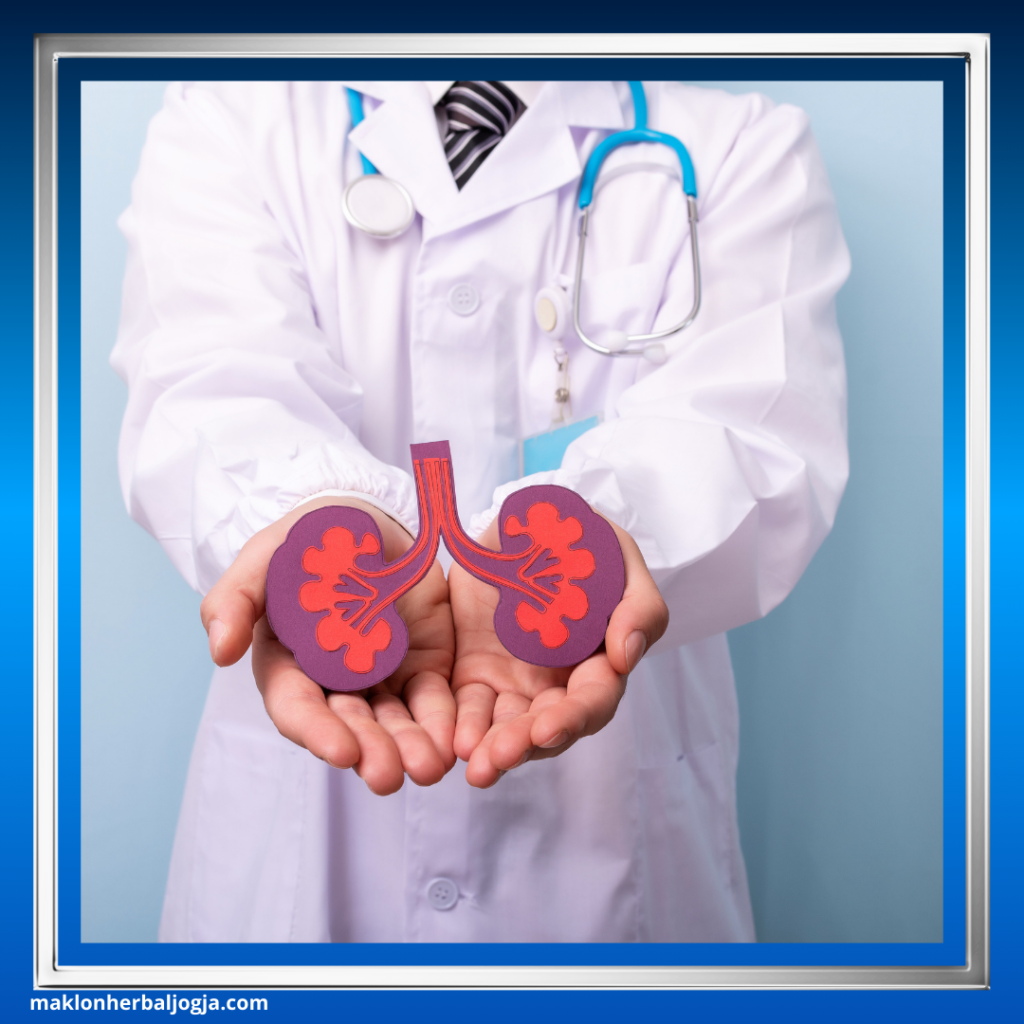 Ciri Penyakit Ginjal Akut