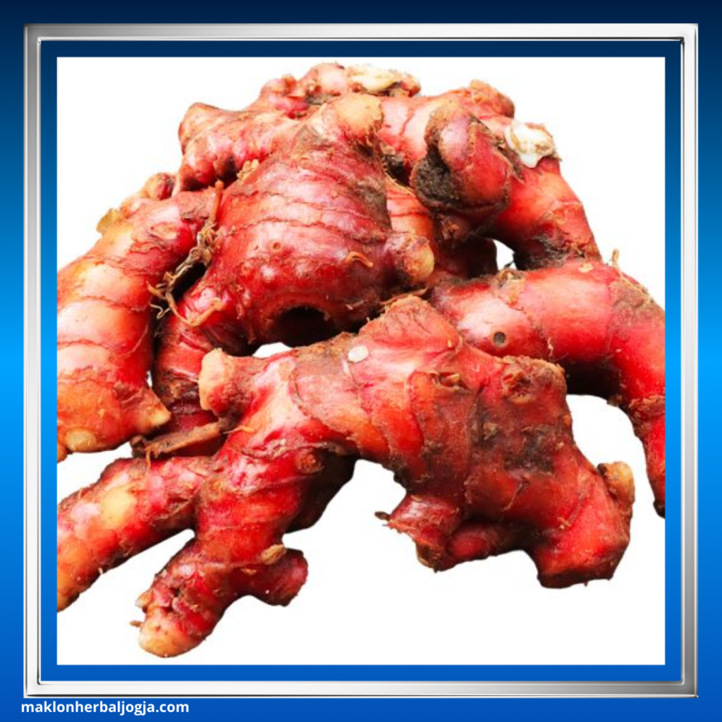 Cara Sehat Menggemukkan Badan