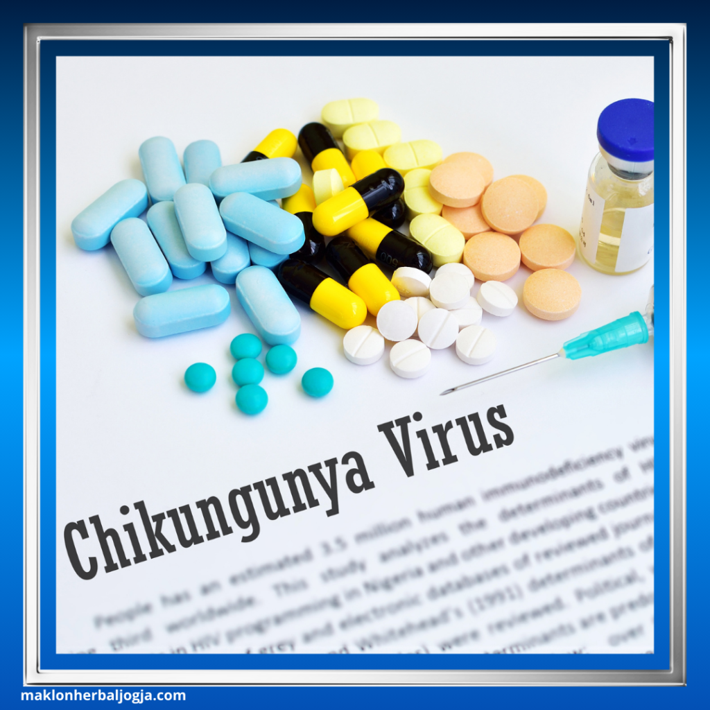 Gejala Chikungunya