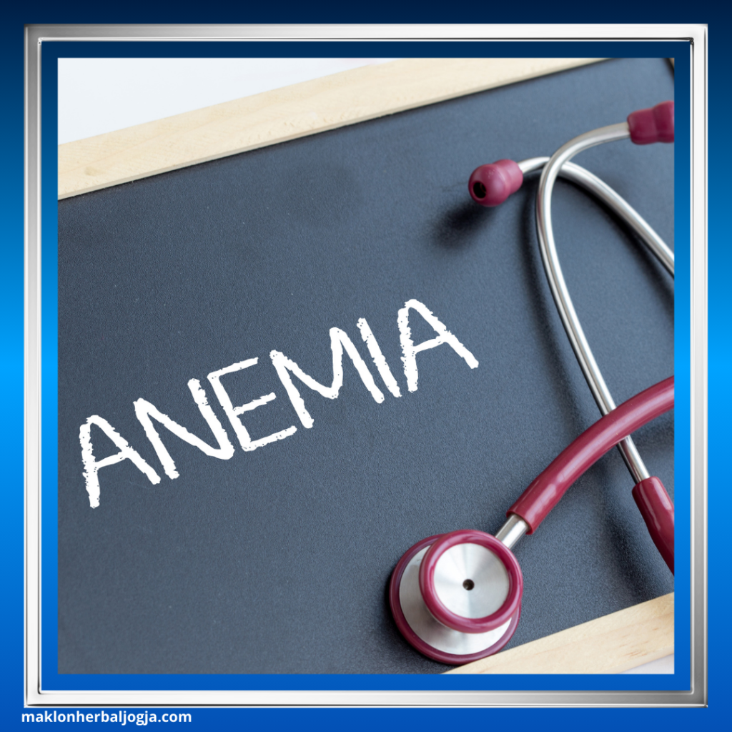 Cara Mencegah Anemia