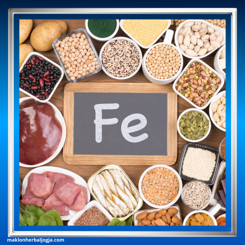 Cara Mencegah Anemia