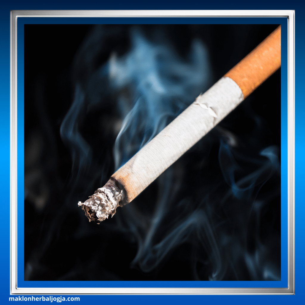Dampak Merokok bagi Kesehatan 