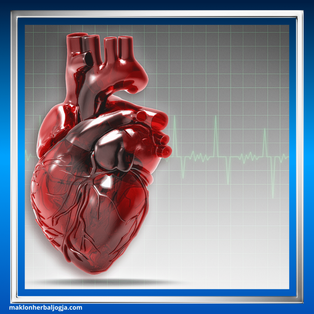 Dampak Merokok bagi Kesehatan 