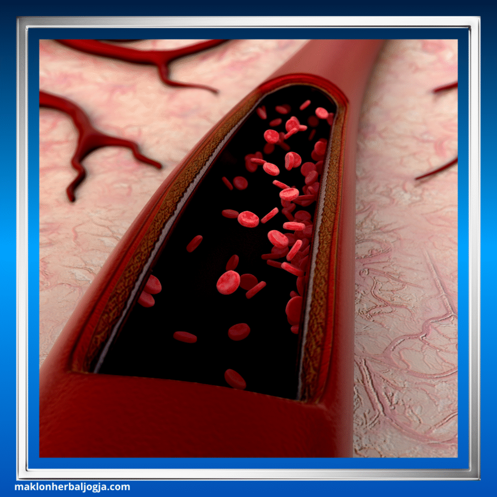 Dampak Merokok bagi Kesehatan 