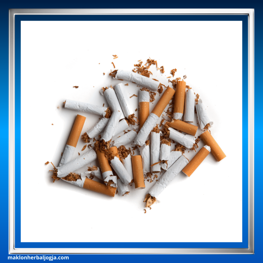 Kebiasaan Merusak Paru-Paru