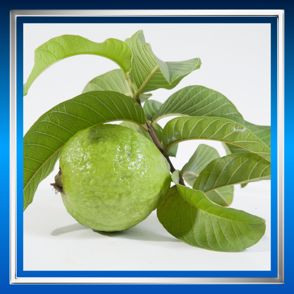 Tips Merawat Rambut Rontok dengan Herbal Tanpa Efek Samping