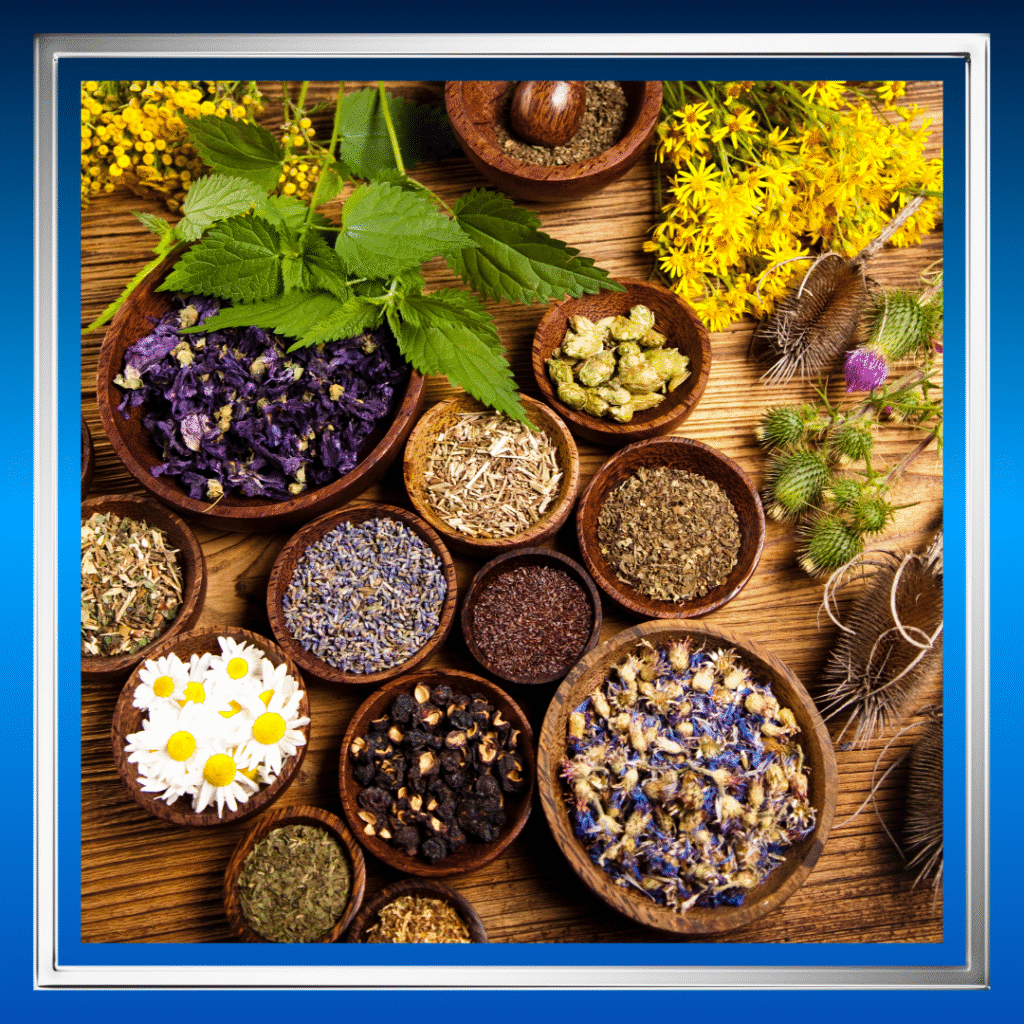 Herbal Penambah Tekanan Darah