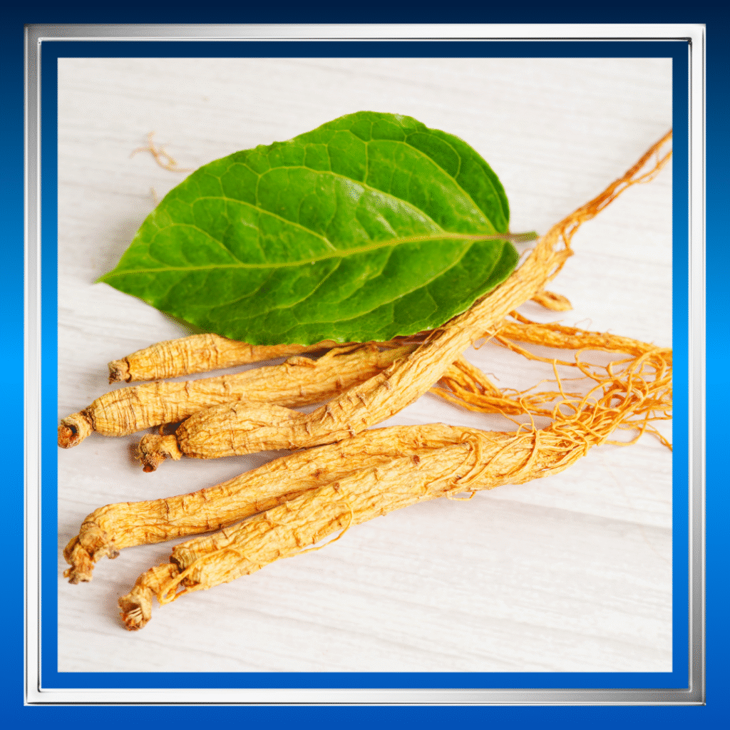 Herbal Penambah Tekanan Darah