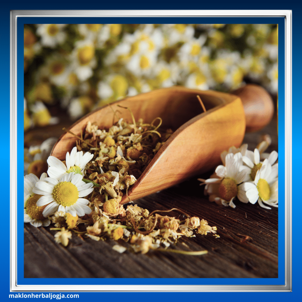 Herbal untuk Mengobati Insomnia