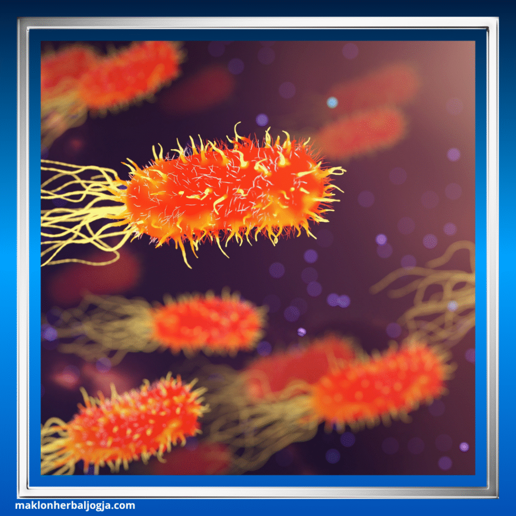 Penyakit Menular Seksual