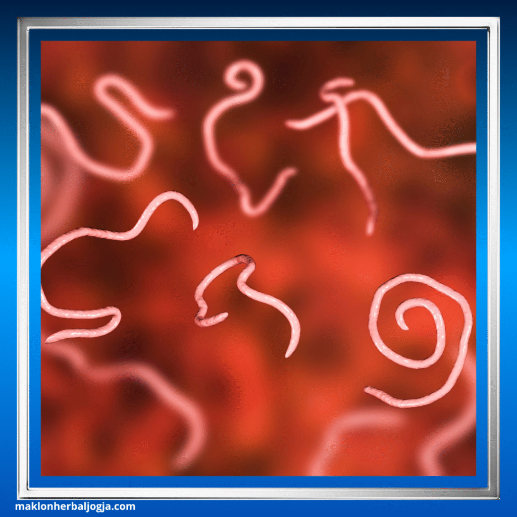 Penyakit Menular Seksual