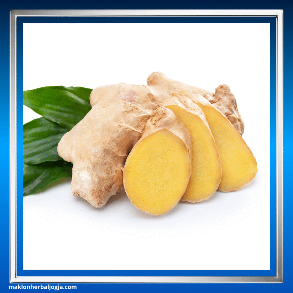 Herbal untuk Nyeri Sendi Lutut