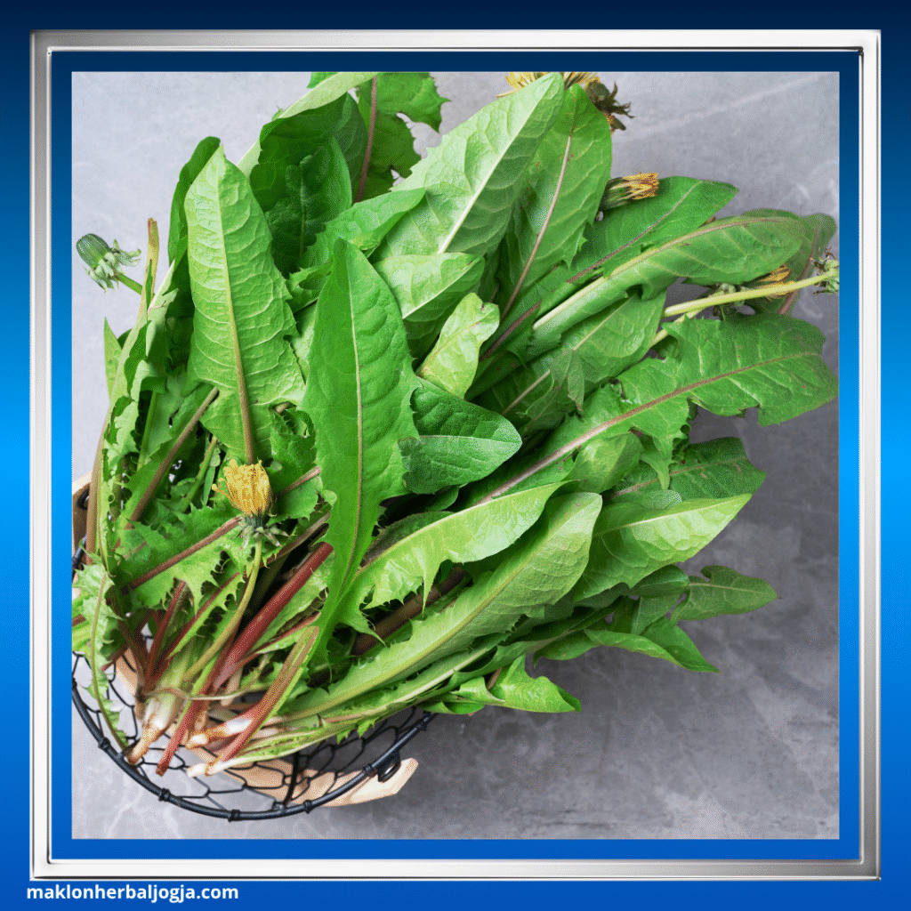 Herbal Paling Ampuh untuk Detox