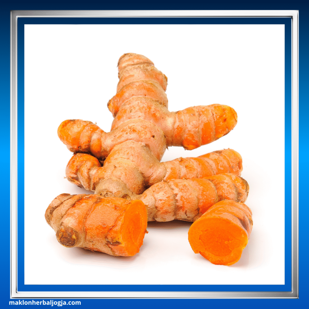 Herbal Diet Paling Ampuh