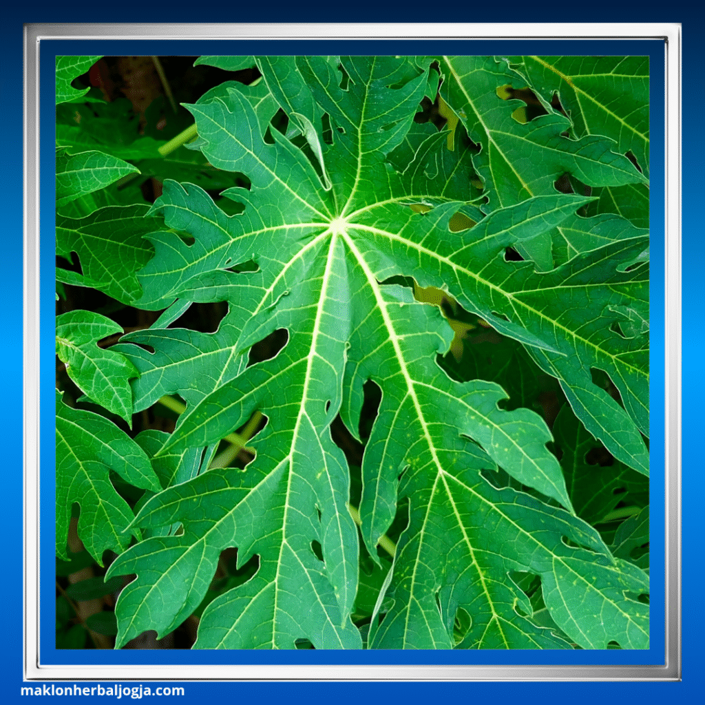 Cara Alami Atasi Pegal