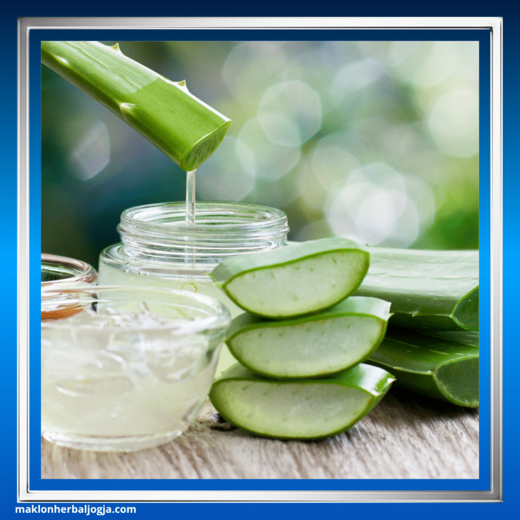 Jenis Herbal Keputihan