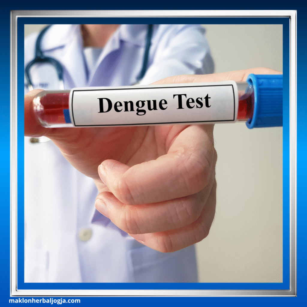 Cara Efektif Mencegah Demam Berdarah