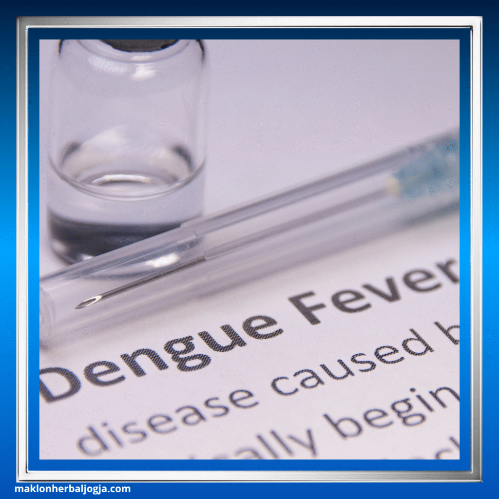 Cara Efektif Mencegah Demam Berdarah