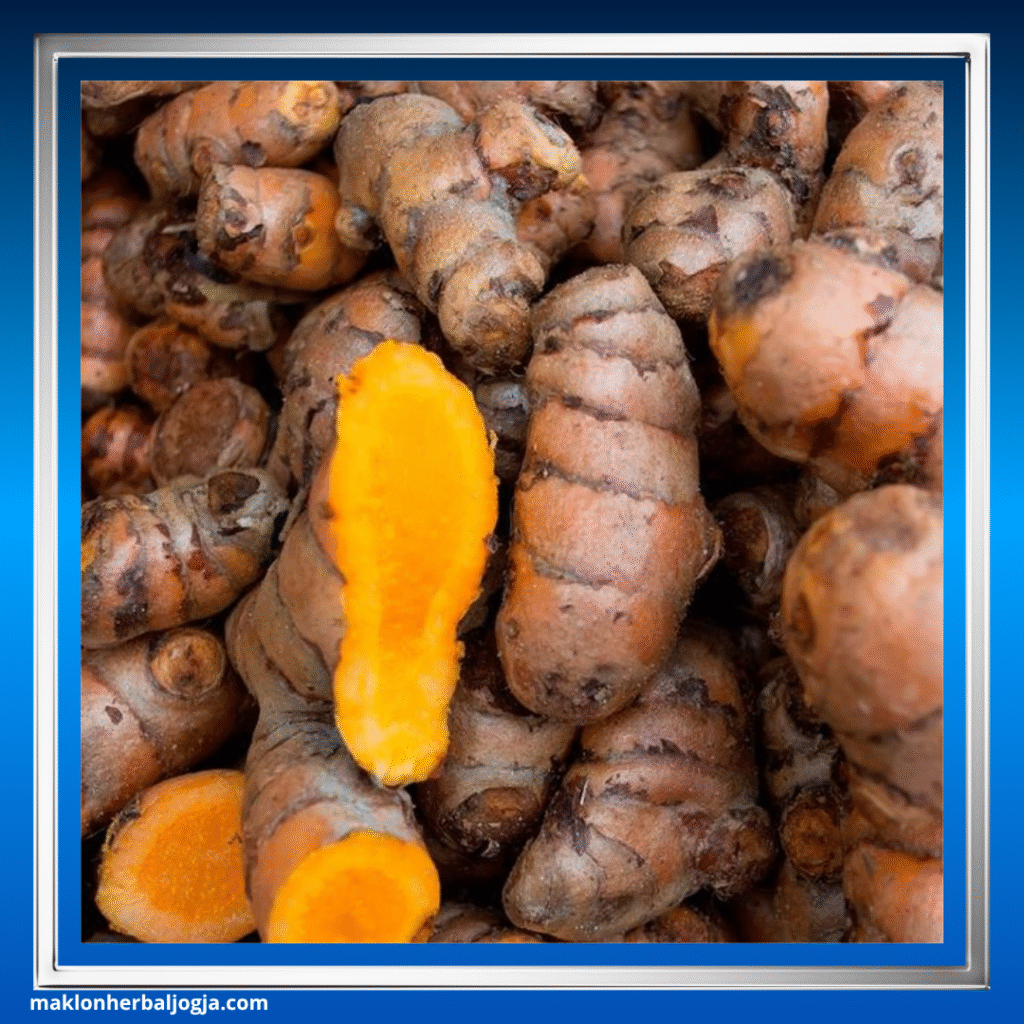 Herbal Penurun Kolesterol