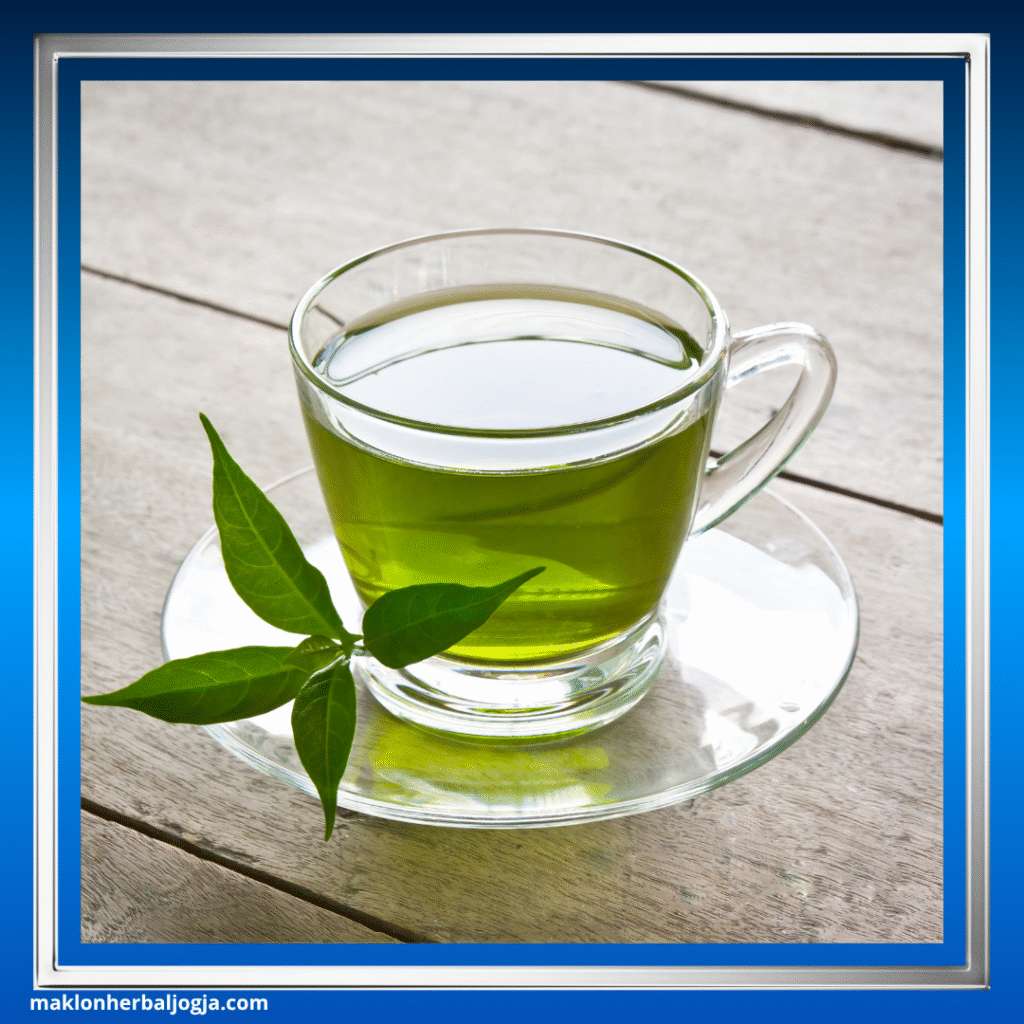 Herbal Penurun Kolesterol