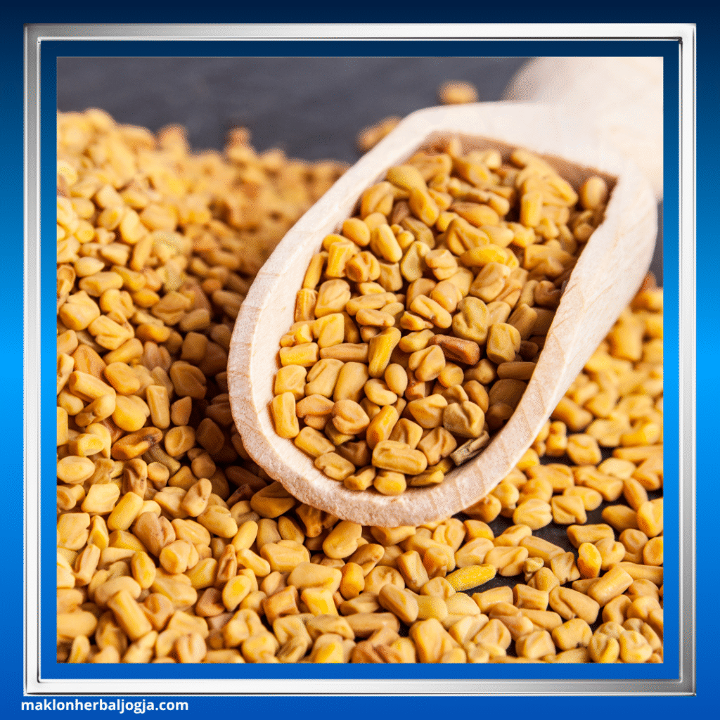 Herbal Penurun Kolesterol